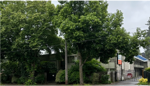 Two story older apartment building surrounded by mature trees. Apartment for rent.