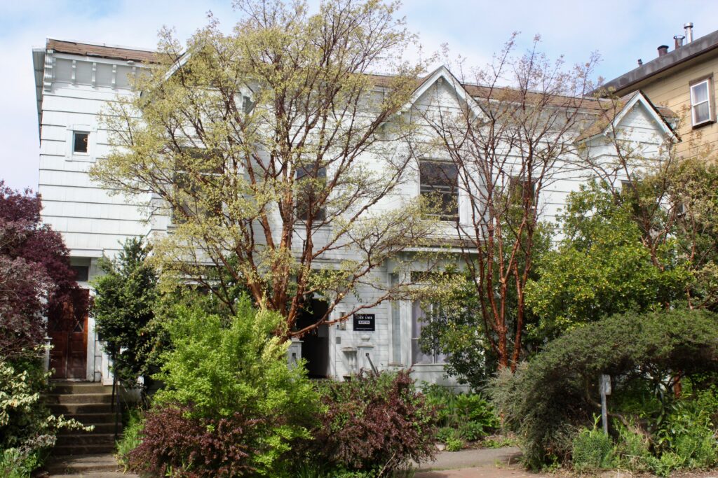 White house with trees and lush greenery.